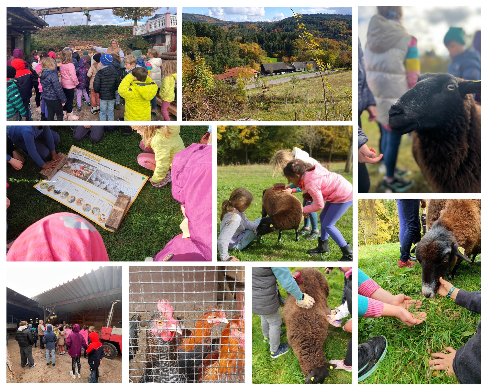 Wycieczka na farmę edukacyjną