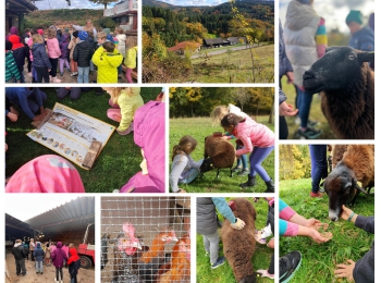 Wycieczka na farmę edukacyjną